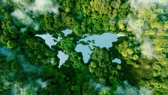 Règlement déforestation : « il ne faut pas attendre fin 2024 pour mettre en place cette diligence raisonnée » , Florian Ferjoux
