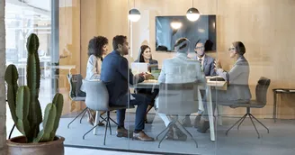 Obligation de mixité dans la composition des organes sociaux