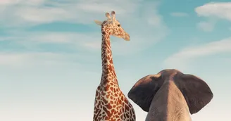 Collecte déloyale par un enquêteur privé de données personnelles en libre accès sur internet