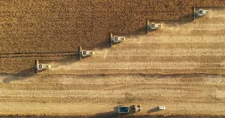 Sociétés agricoles : de nouvelles activités possibles et un droit à l’essai avant de s’associer