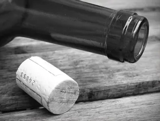 Licenciements : la méthode du gouvernement pour sécuriser et limiter les contentieux