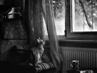 Coronavirus : mesures d’urgence en matière de congés payés, de durée du travail et de jours de repos